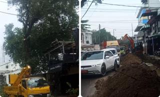 RTH Dan Daya Serap Permukaan Kota Medan Makin Rendah, Warga Pertanyakan Lahan Pengganti Untuk Pohon Korban Proyek U Ditch Drainase