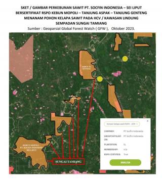 Krisis DAS Tamiang Dekat Sawit PT Socfin Indonesia, LKLH Pra Sengketa CPSO RSPO