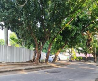 Demi Keselamatan Kerja, Warga  Apresiasi Pemko Medan "Bersihkan" PKL Seputaran Revitalisasi Stadion Teladan