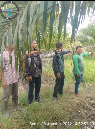 Tidak Terima Lahannya Diwilayah Desa Rantau Bais Dicaplok, Pemilik Lahan Trianto Akan Lapor Polisi 