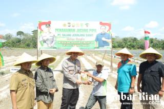 Tanam Jagung 1,5 Ha, Kapolres Inhu: Petani Jangan Kuatir, Ada Perum Bulog