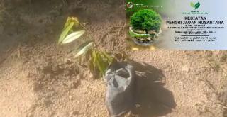 Peringati Hari Lingkungan Hidup Sedunia Mandala Foundation Ajak Pejabat Riau Tanam Pohon Di Kampar