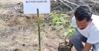 Mandala Foundation Meriahkan World Environment Day Taja Tanam Sejuta Pohon di Lahan Kritis