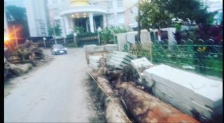 Di Hari Lingkungan Hidup Sedunia Tahun 2025, Dinas SDABMBK Kota Medan Ugal Ugalan "Begal" Pohon