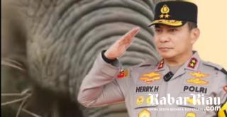Mandala Foundation Berharap Kawasan Tahura SSH Dikembalikan Tanpa Memandang Siapa Pengusaha Sawit Di Dalamnya