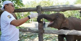 Mandala Foundation Tak Sangka Kapolda Riau Pasang Badan Mewakili Gajah TNTN