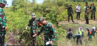 Dukung Program Swasembada Pangan Presiden Prabowo, Dandim 0318/Natuna Tinjau Lahan Pertanian ± 60 Ha