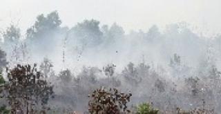 Musim Kabut Asap Mengancam, Mandala Foundation ; Ini Musibah Jangan Salahkan Pemimpin