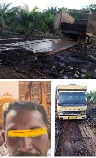 Lapor Pak Kapolri, Pelaku DPO Ilegal Logging Diwilayah Rimba Melintang - Rohil Tak Mampu Ditangkap 