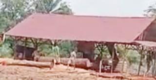 Kayu Alam Terus Menipis, Diminta Polda Riau Tertibkan Sawmill Kecamatan Kampar Kiri