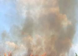 Ini Langganan Karhutla di Pangkalan Kerinci, Pelalawan Tiap tahun