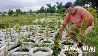 DPD APPI Riau Akan Wujudkan Integrasi Pertanian dengan Industri dan Perdagangan