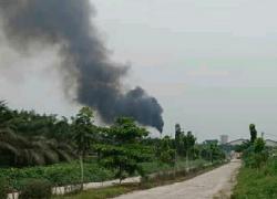 PKS PT Adei Plantation and Industry di Pelalawan Tampung Sawit Dari Kawan Hutan