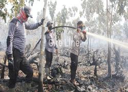 Kota Pekanbaru Dikepung Kabut Asap Kebakaran Hutan