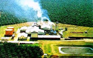 Puluhan Warung Dibangun, Geliat Ekonomi Desa Rimpian Kian Terasa