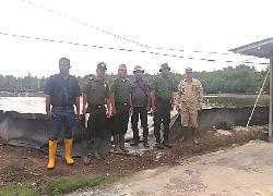 KLHK Temukan Tambak Udang Dilahan Kawan Hutan Mangrove Bengkalis