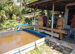 Wabup Rohil Kunjungi Kelompok Budidaya Ikan Suak Temenggung Disela -Sela Kesibukannya