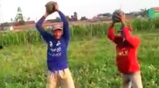 Panen Gagal, Petani Blewah di Jombang Malah Viral
