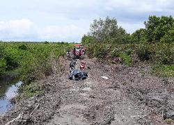 Bupati Rohil Rela Naik Traktor Untuk Meninjau Pembuatan Tanggul Dan Lahan Pertanian�