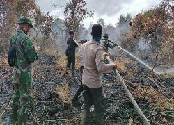 Kasus Karhutla PT Duta Swakarya Indah Siak Masih "Jalan Ditempat", Warga: Diduga Perusahaan Akan Cari "Kambing Hitam"