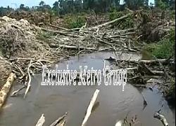 Sejumlah Lahan Sawit Minta Diukur Ulang