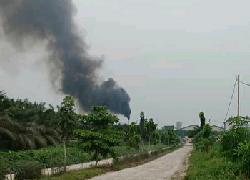 TIM RSPO Diminta Kaji Kembali Izin PT Adei Plantation