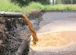 Warga Sakit Kulit, Diduga PT Karisma Agro Sejahtera Buang Limbah Masuk Anak Sungai