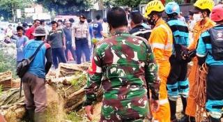 Pohon Tua Musim Hujan Tumbang, Pengendara Dari dan Balik Tasikmalaya-Garut Dihimbau Waspada