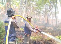 Pemadam Kebakaran Pelalawan Dapat Pujian Warga Kuala Kampar