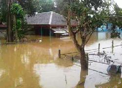 Banjir Kaltim Nyaris Mendekati  Lokasi Ibu Kota Negara Baru, Bapenas: Aman
