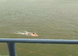 Gegerkan Penumpang KMP Mulia Nusantara, Aksi Nekad ASN Terjun Kelaut