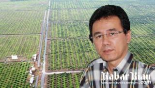 Humas PT Arara Abadi Ungkap Kronologis Berita Dugaan Petani Ubi Dikeroyok