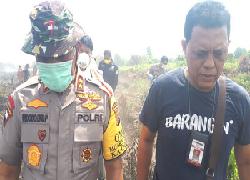 Kebun Sawit di Riau Akan Dirazia Tim Pimpinan Gubernur Riau,  Syamsuar