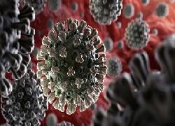 Wartawan di Riau Diminta Terbitkan Berita Edukasi Cegah Putus Mata Rantai Covid-19