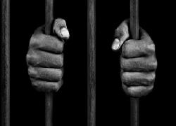Caleg Dapil Kota Ambon HS Ditangkap Karena Kasus Penipuan