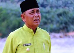 Bupati Pelalawan Diperiksa Kasus Karhutla