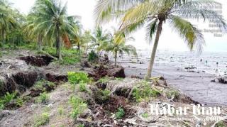 Program KLHK Di Bengkalis Dinilai Akan Mubazir, Kalau tidak Disertai Tanggul Pantai