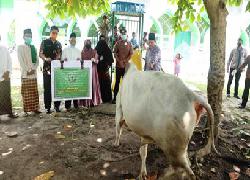 50 Ekor Hewan Qurban Diserahakan Rahma ke Masjid