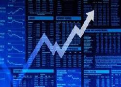 Ekspor Melalui  Riau Bulan Mei Naik