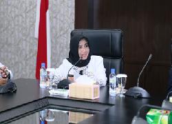 Pemko Tanjungpinang Terima Hibah PSU Dari Wedindra Regency