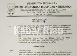 Pakar Hukum Pidana Riau Sayangkan Eksekusi Sawit PSJ Gagal