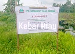 Bermodalkan Logo Uni Seraya Group, PT Diamond Raya Timber Babat Hutan Pakai IUPHHK-HA Diduga "Bodong"