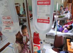 DBD Meninggkat di Jabar, Ini Kata Kasi Diskes