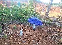 Kuburan Cagar Budaya Nyaris Dirusak Penambang Bintan