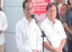 Partai Berharap Pertemuan Jokowi Prabowo Bisa Membawa Perubahan