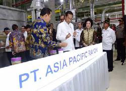 Jokowi Resmikan Pabrik Viscose Rayon Terintergrasi di Pelalawan