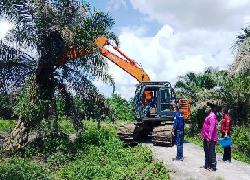 Info Bantuan Dikabarkan Belum Cair, Sawit Warga di Bengkalis Telah Ditumbang