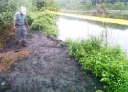 DPRD Pelalawan Minta Klarifikasi Tapal Batas, PT Indosawit dan Pihak Pemerintahan Mangkir