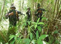Kontak Senjata, Tiga Anggota TNI Tewas  di Distrik Mugi