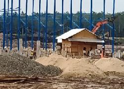 Dikawatirkan Tampung Buah dalam Kawasan Hutan, Pemerhati Lingkungan Minta Jokowi Tutup PT SSS Inhu